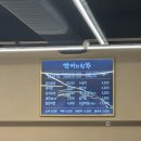 시흥 장어의신화 - 안산 시흥 장어맛집 한번가면 단골되는 내돈내산 후기