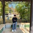 경기도 최고의 도시 = 수원 (반박 안받음) 왜 안가 1박2일 정조의 도시 수원 여행❤️❤️핵스압