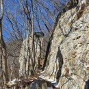 강동-천호-1146 이미지