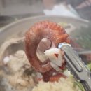 솔모루로 | 포천 송우리 맛집 해품계, 든든한 보양식 해신탕 내돈내산 후기