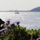종달해변 이미지