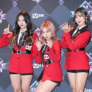 엠. 제이코리아
