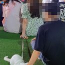 바람난고양이
