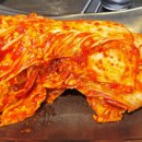 핏제리아509도씨