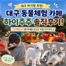 소담매점 | [대구 아기랑] 달성군 옥포 하이주주 솔직후기! 22개월 아기와 다녀온 대구 동물체험 카페