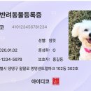 파이리코 이미지