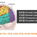 뉴로컴