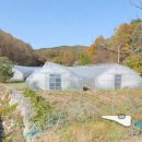 보광2리 이미지