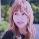 솔지방