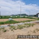 교동앞 바다, 교동대교 조망 2차로접한 인화리 주말주택부지100평,건10평,1억7000만원,강화도주말주택지 이미지
