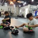 뉴챔프복싱 이미지