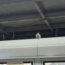 씨유 상봉대로점 | 영하5도
