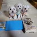 킨더라스 다산점 이미지