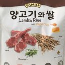 도그랑 나랑 | 🐶 우리 집 노령견의 두 번째 인생, 도그랑 시니어와 함께 시작되다