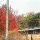 써트(cert)