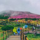 1-9 공중화장실 이미지