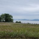 명화당 | 신평면점집 삶의 방향을 밝혀준 명화당 체험 후기