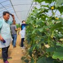 늘푸른농장 이미지