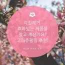 제이부띠 이미지