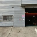 옐로우 터널 이미지