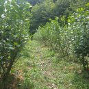 달건너농장 이미지