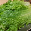 황금족발 이미지