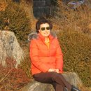 봉림흑염소 이미지