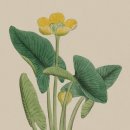 포인트 행정사 이미지