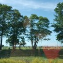 미시시피 이미지