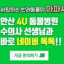 포유동물병원 이미지