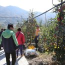 삼애농원 이미지