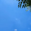 빛살과학 이미지