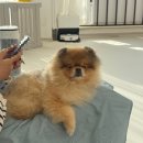 하오하개 이미지