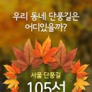 서울단풍길105선 이미지