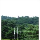 태학산자연휴양림 잔디광장 이미지