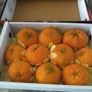 연님농장 이미지