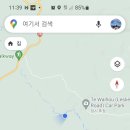 블루뉴질랜드