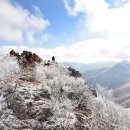 농축산마트 앞 이미지