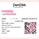 D+110 세네갈 다카르 공항에서 프랑스 릴 Transavia 비행 후기 및 시내에서 공항 가는 법