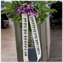 법무법인안심의정부분사무소