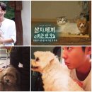 귀엽개 TV리포트