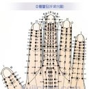 서금요법의 14기맥혈도 이미지