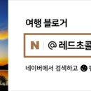 선미통돼지시지 이미지