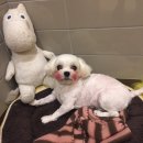 개러리아 이미지