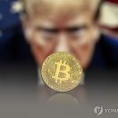 D00885 토큰포스트