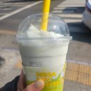 애플레저 | [대충리뷰] 메가커피 신메뉴 - 애플머스켓 요거트 스무디, 망고폼 자스민 티플레저 후기
