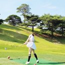 성원골프 | 가성비 끝판왕 도미 T200 골프거리측정기, 장점부터 실전 활용까지