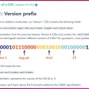 옐로우박스 이미지