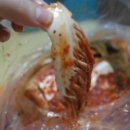 (주)해도지 이미지