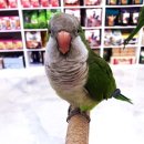 장유누가병원 이미지